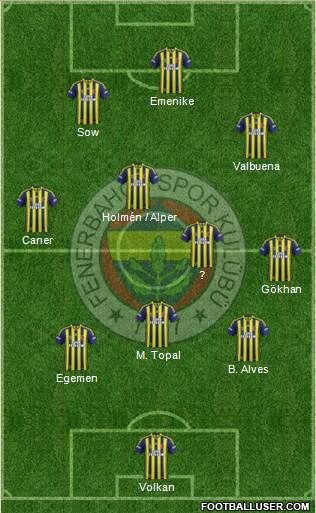 Fenerbahçe SK Formation 2013