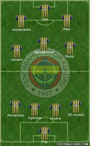 Fenerbahçe SK Formation 2013