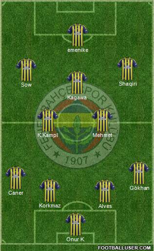 Fenerbahçe SK Formation 2013
