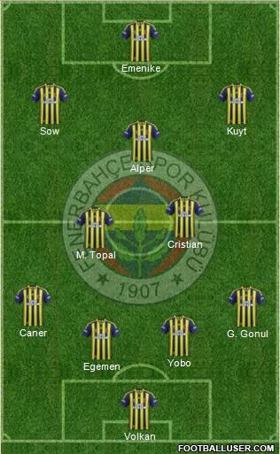 Fenerbahçe SK Formation 2013
