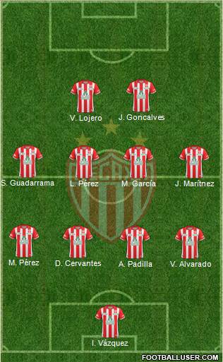 Club Deportivo Necaxa Formation 2013