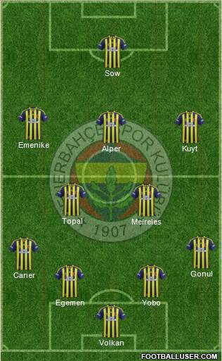 Fenerbahçe SK Formation 2013