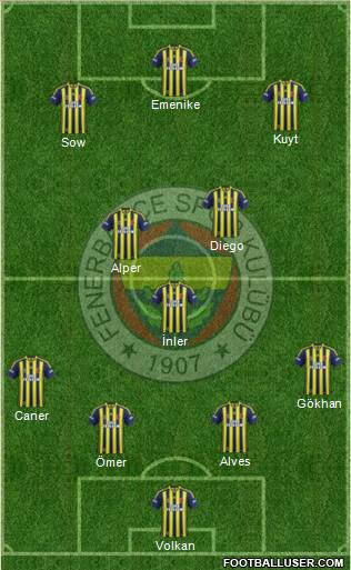 Fenerbahçe SK Formation 2013