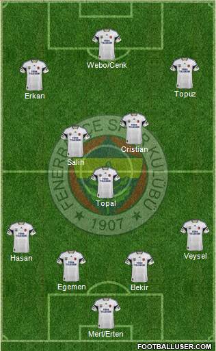 Fenerbahçe SK Formation 2013