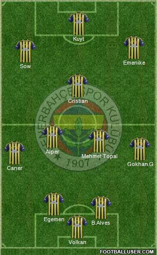 Fenerbahçe SK Formation 2013