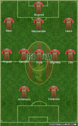 Ternana Formation 2013