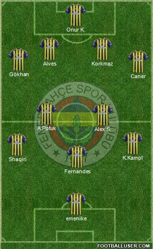 Fenerbahçe SK Formation 2013