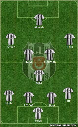 Besiktas JK Formation 2013