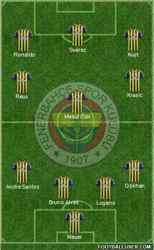 Fenerbahçe SK Formation 2013