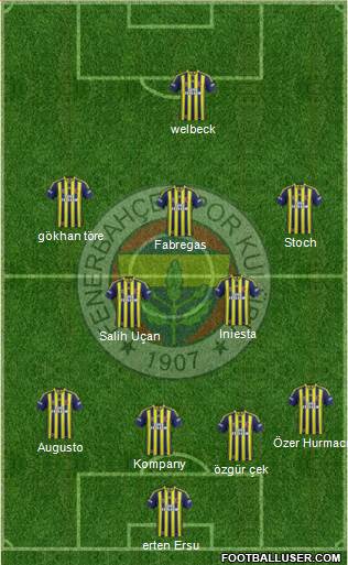 Fenerbahçe SK Formation 2013