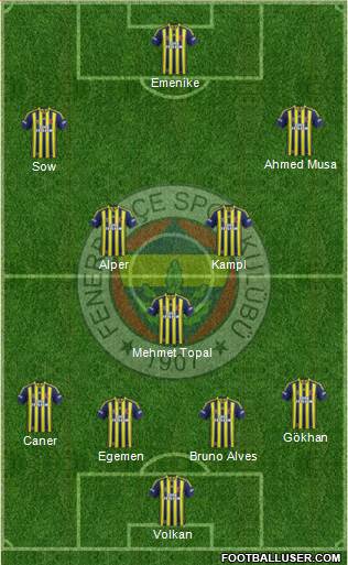 Fenerbahçe SK Formation 2013