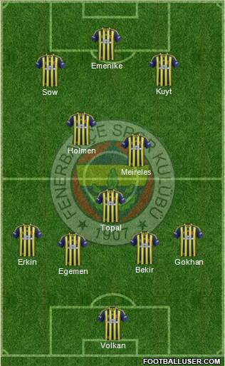 Fenerbahçe SK Formation 2013