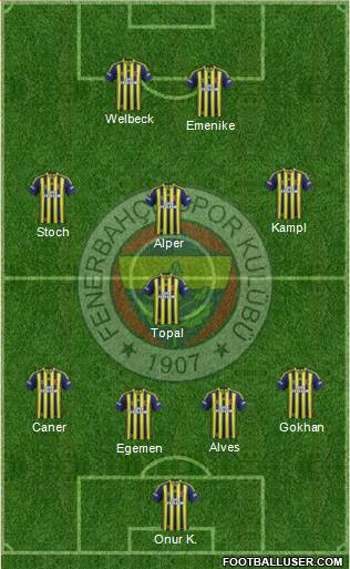 Fenerbahçe SK Formation 2013