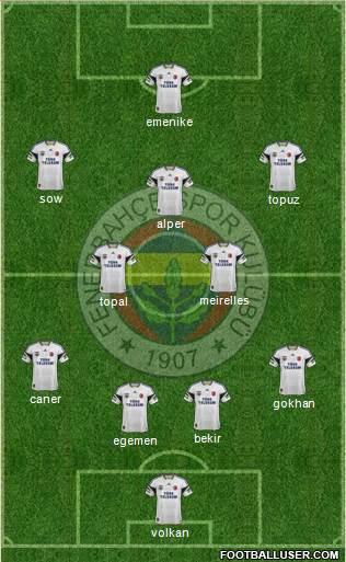 Fenerbahçe SK Formation 2013