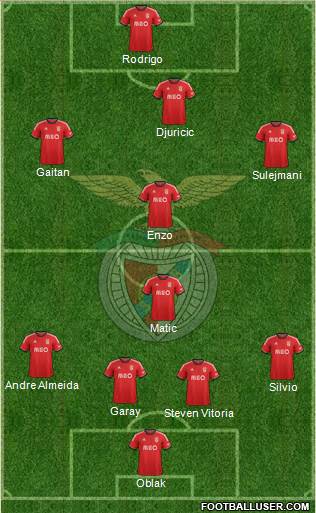 Sport Lisboa e Benfica - SAD Formation 2013