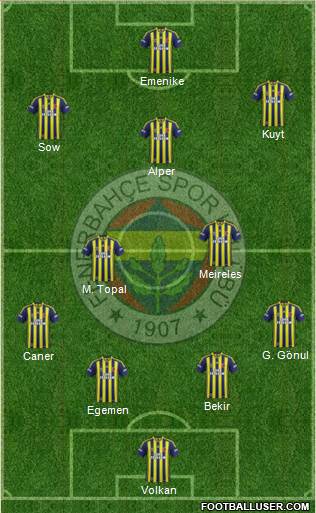 Fenerbahçe SK Formation 2013