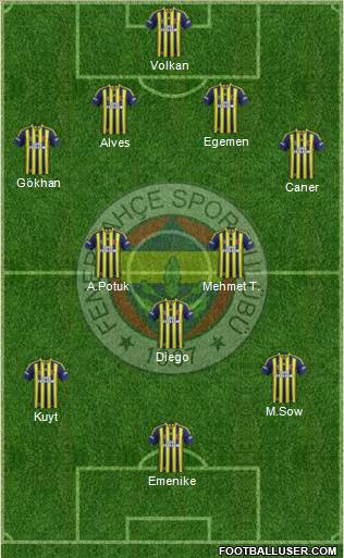 Fenerbahçe SK Formation 2013