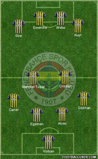 Fenerbahçe SK Formation 2013