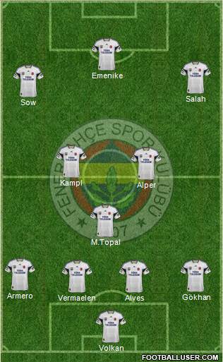 Fenerbahçe SK Formation 2013