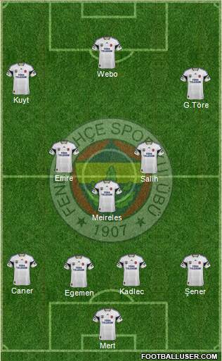 Fenerbahçe SK Formation 2013
