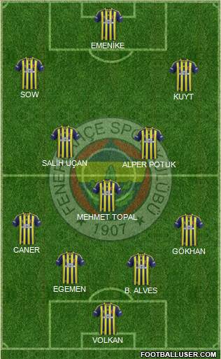 Fenerbahçe SK Formation 2013