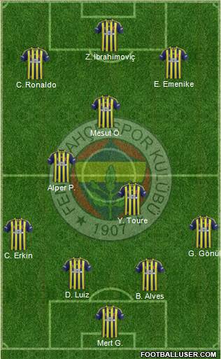 Fenerbahçe SK Formation 2013