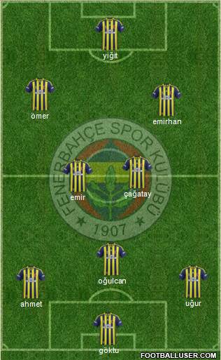 Fenerbahçe SK Formation 2013