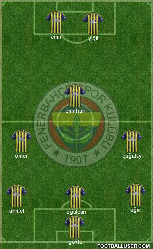 Fenerbahçe SK Formation 2013
