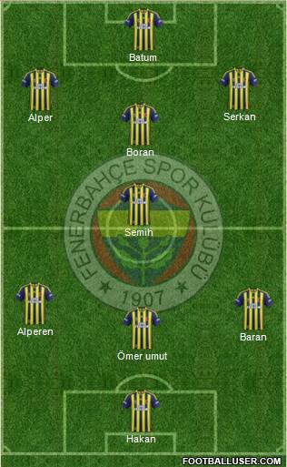 Fenerbahçe SK Formation 2013
