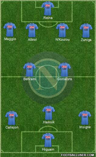 Napoli Formation 2013