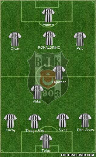 Besiktas JK Formation 2013