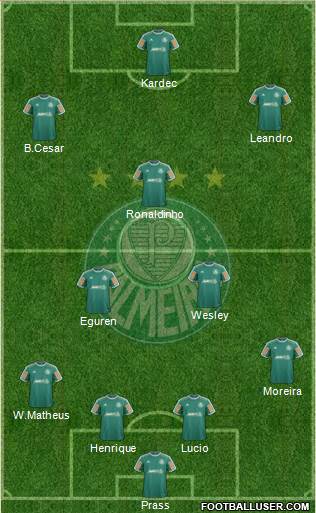 SE Palmeiras Formation 2013