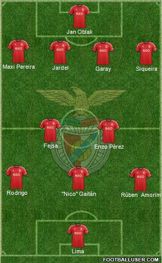 Sport Lisboa e Benfica - SAD Formation 2013