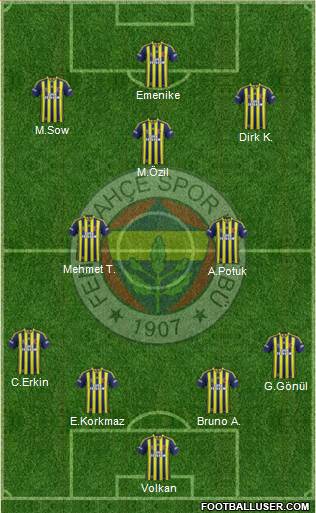 Fenerbahçe SK Formation 2013