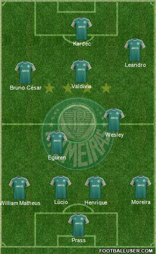 SE Palmeiras Formation 2013