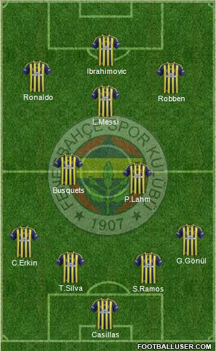 Fenerbahçe SK Formation 2013