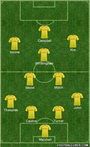 Cardiff City Formation 2013