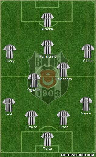 Besiktas JK Formation 2013