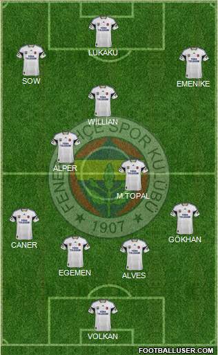 Fenerbahçe SK Formation 2013
