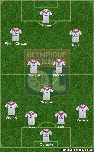 Olympique Lyonnais Formation 2014