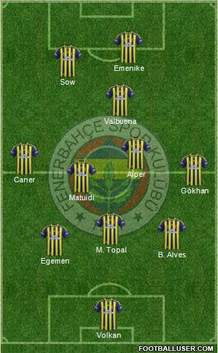 Fenerbahçe SK Formation 2014