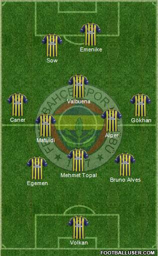 Fenerbahçe SK Formation 2014