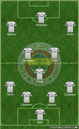 Fenerbahçe SK Formation 2014