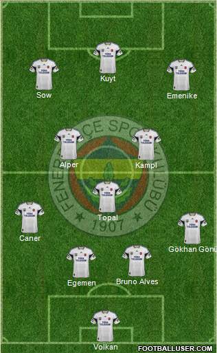 Fenerbahçe SK Formation 2014
