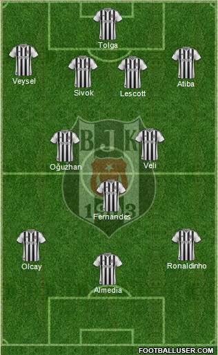 Besiktas JK Formation 2014