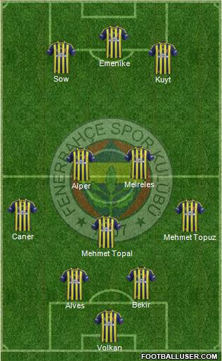 Fenerbahçe SK Formation 2014