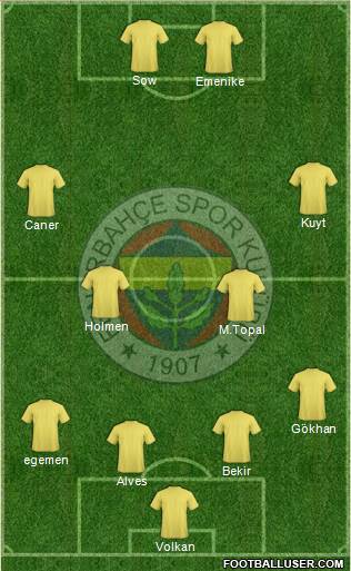 Fenerbahçe SK Formation 2014
