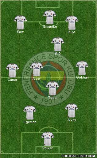 Fenerbahçe SK Formation 2014