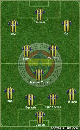 Fenerbahçe SK Formation 2014