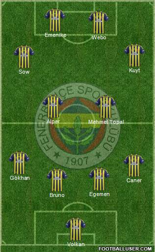 Fenerbahçe SK Formation 2014